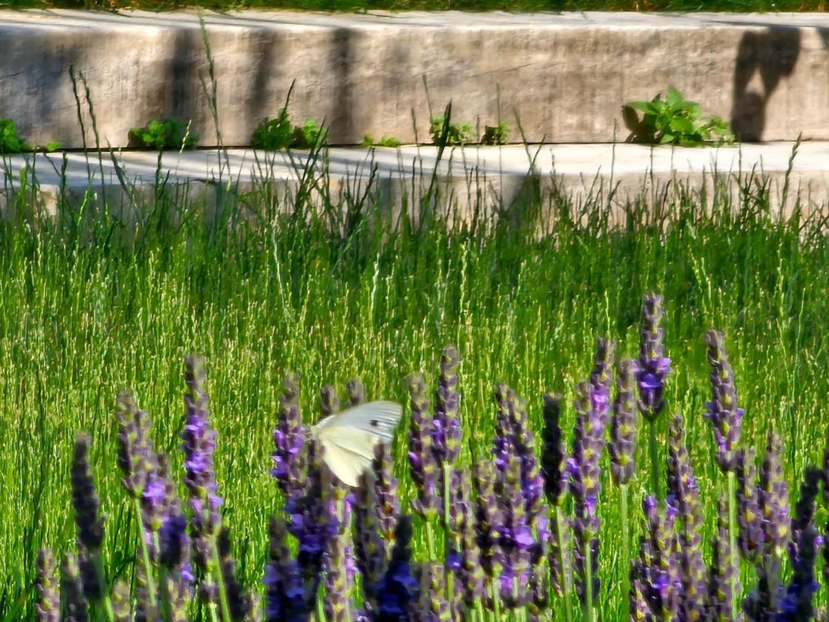 Domaine Slow-Life Thairé Eksteriør bilde