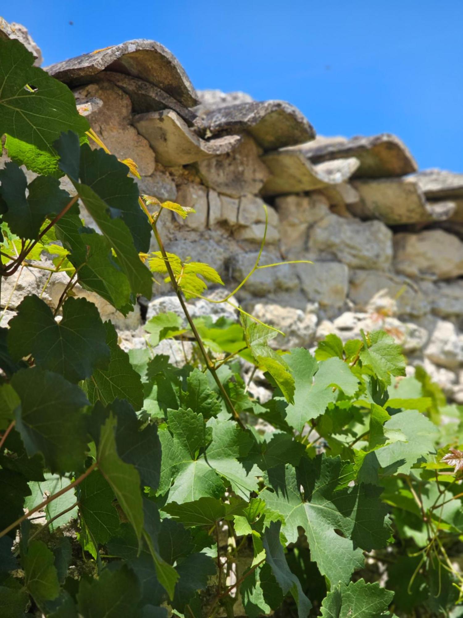 Domaine Slow-Life Thairé Eksteriør bilde